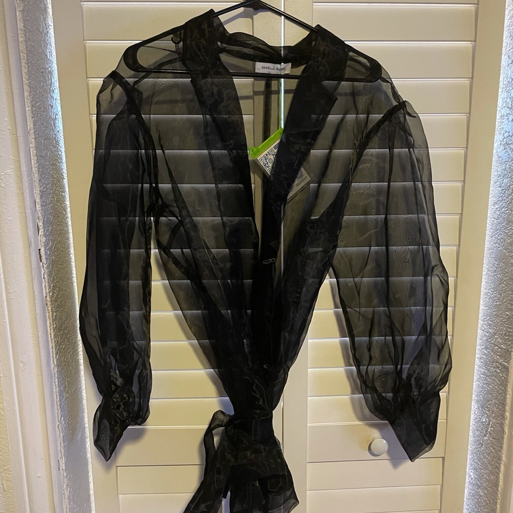Danielle Guizio sheer trench coat